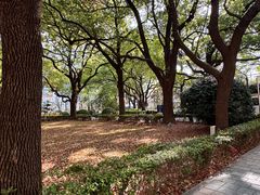 -瑞金医院-门诊部