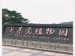 -东莞植物园