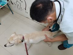 -康旭宠物医院(郑州总院)