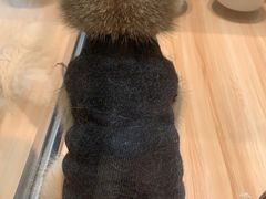 -袖虎·猫馆(体育西路店)
