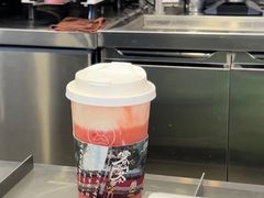 -雾与山茶(大禹城店)