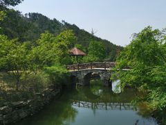 -黄陂区野村谷景区