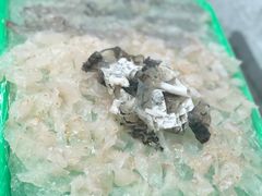 鱼生-官塘锋记鱼生·生腌·砂锅粥(牌坊街店)