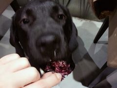 -HIHE Bistro·Oyster Bar(华熙live店)