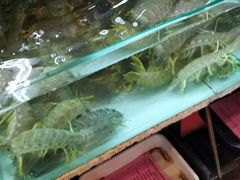 -班赞海鲜市场