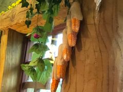 -济南方特东方神画