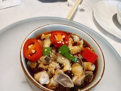 鲜辣汁炝花螺-玫瑰厅上海菜(兴国路店)