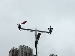 -成都市活水公园