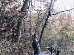 -南京市江宁方山