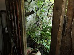 -斯多格书乡(北京大学畅春园店)