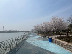 -自然谷恐龙园
