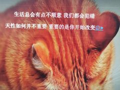 -老闵田螺馆·南昌特色小炒(梦时代店)