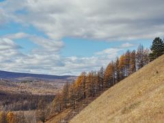 -莫尔道嘎国家森林公园
