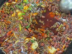 肥肠鱼-烧哥美蛙肥肠鱼火锅·十五年社区店