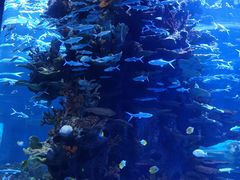 -多彩贵州城极地海洋世界