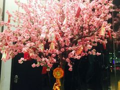 -紫阳家宴(源深店)