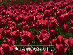 -国家植物园