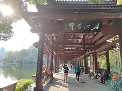-重庆彩云湖湿地公园
