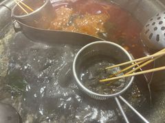 -生活如沸·顺德水牛奶火锅(大学路店)