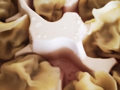 -添福来墨鱼饺子 · 海鲜东北菜(泡崖店)
