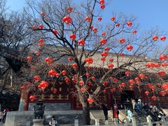 -香山公园