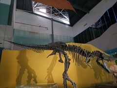 -湖南省地质博物馆