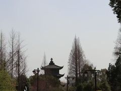 -鲁镇
