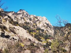 -泰山风景名胜区
