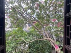 -东山雕花楼