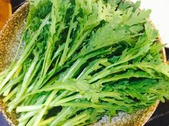 -杨家火锅(国美店)