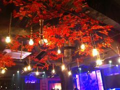 iphone_upload_pic-令狐冲烤鱼·烧菜馆(达明店)