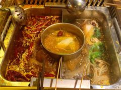 -蜀九鼎毛肚火锅(惠安店)