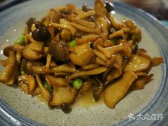 -小铫鸡汤