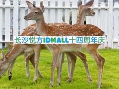 -长沙悦方ID MALL