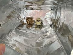 -巧克玩家·城市伴手礼(in88银泰店)