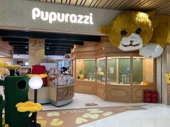 -帕帕拉兹宠物(亚洲旗舰店)