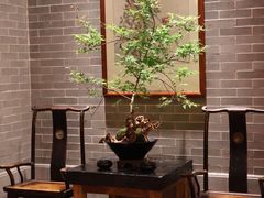 -龙悦湾酒家·八阵鱼生·渔人码头店