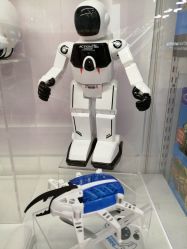 -kidsland(颐堤港店)