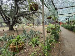 -北海金海湾红树林生态旅游区