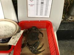 -龙海鲜螃蟹王(宏茂桥店)