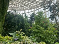-昆明植物园