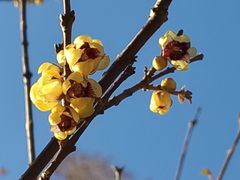 -国家植物园南园