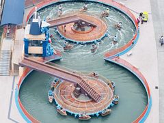 -南戴河国际娱乐中心