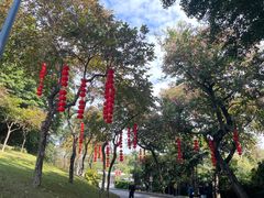 -广州市白云山风景名胜区