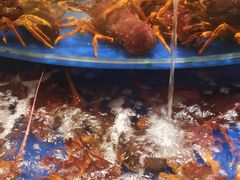 水产区-海景壹号大酒店(滨湖店)