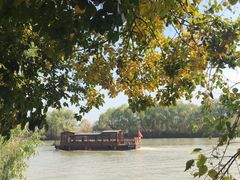 -长兴太湖图影湿地文化园