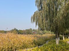 -永定河休闲森林公园