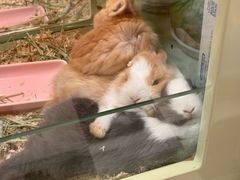 -龙猫仔乐园(惠福东路店)