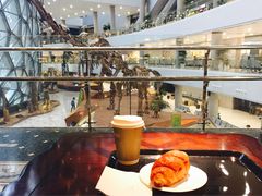 -1868 Café(上海自然博物馆店)