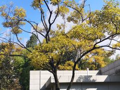 -云南师范大学(一二一西南联大校区)